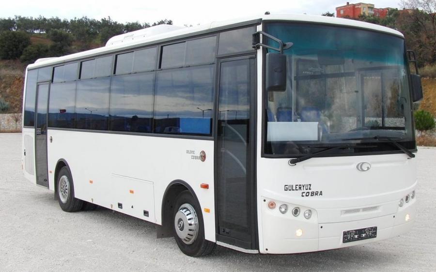 Guleryuz Cobra GD-160 Solo '2011